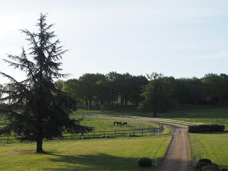 Hotel Haras De La Potardiere Crosmières Dış mekan fotoğraf